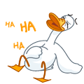 Mr. Duck